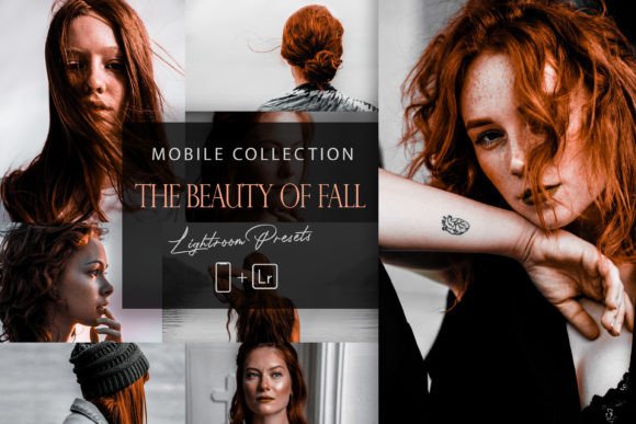 Download 12 Mobile Lightroom, the Beauty  of Fall - Premium Resources