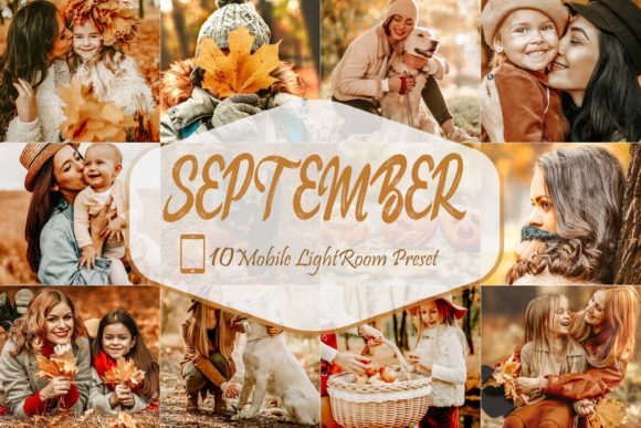 Download 10 September Mobile LR Presets - Mobile Collection