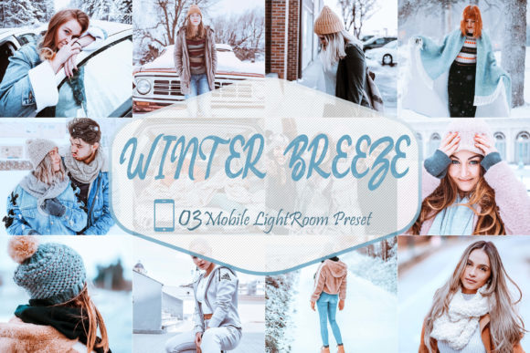 Download 03 Winter Breeze Mobile LR Presets - Mobile Collection